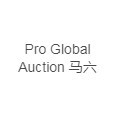 Pro Global Auction