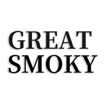 GREAT SMOKY AUCTION GALLERY INC