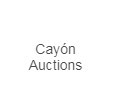 Cayón Auctions