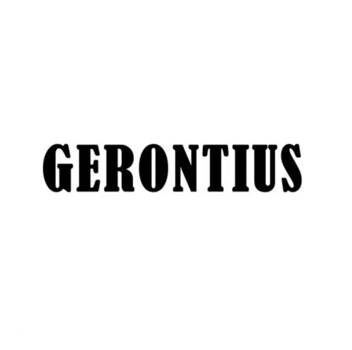 GERONTIUS AUCTION LIMITED