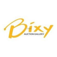  Bixy Auction Gallery